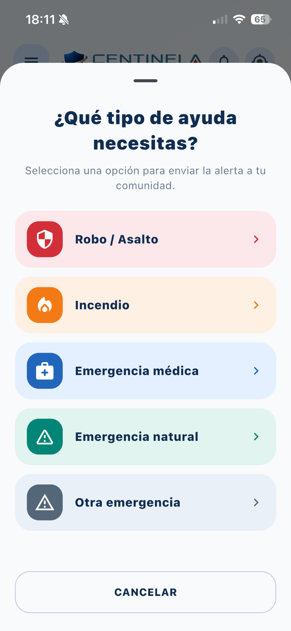 Selección del tipo de ayuda en Centinela Plus